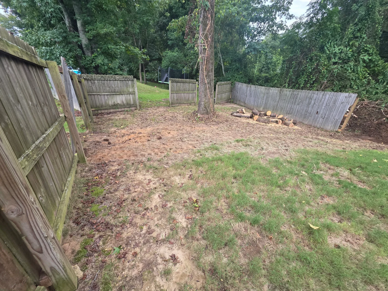 Professional tree removal and stump grinding equipment