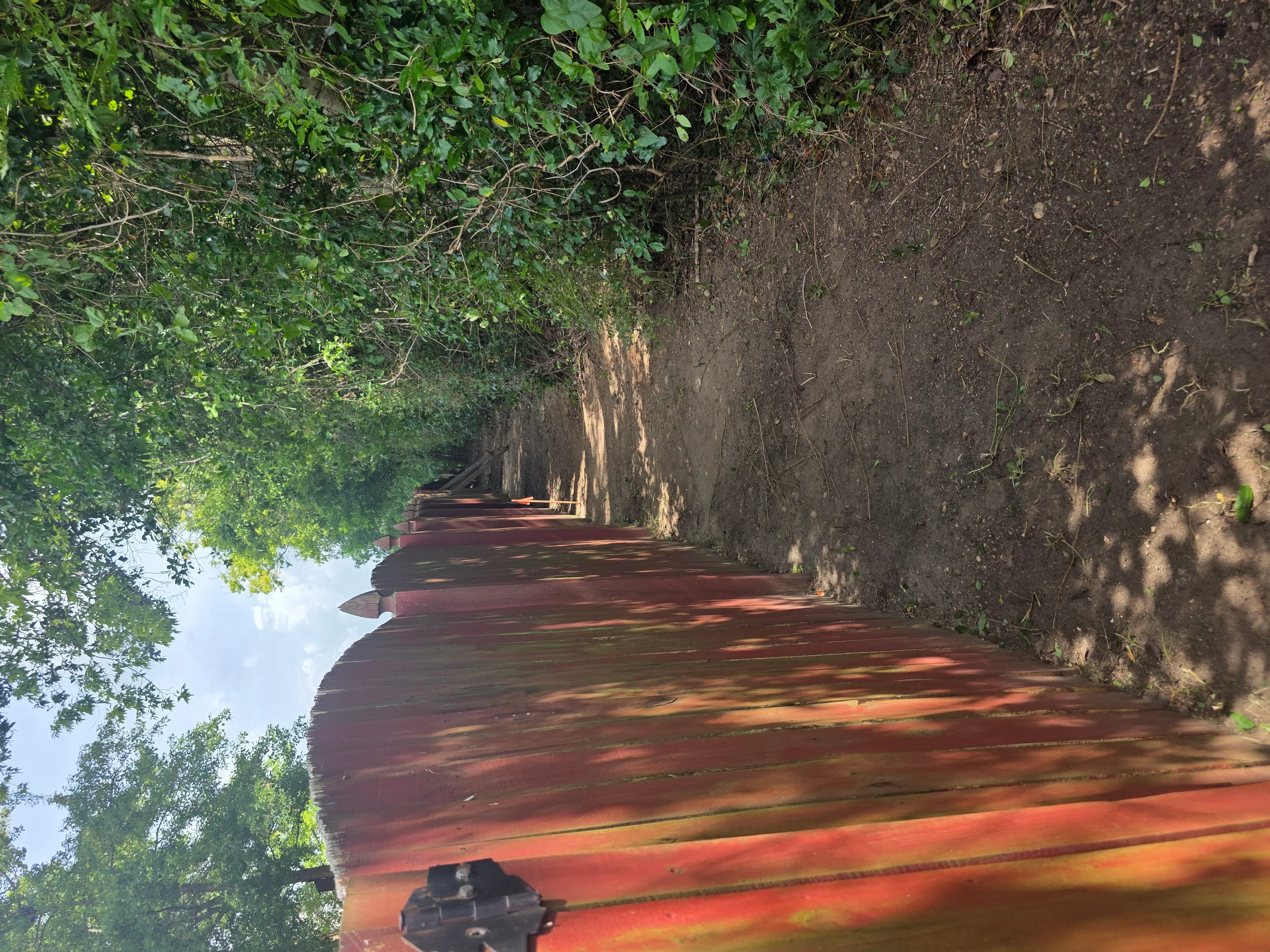 Cleared concrete pathway with removed vegetation and debris, concrete foundation walls exposed