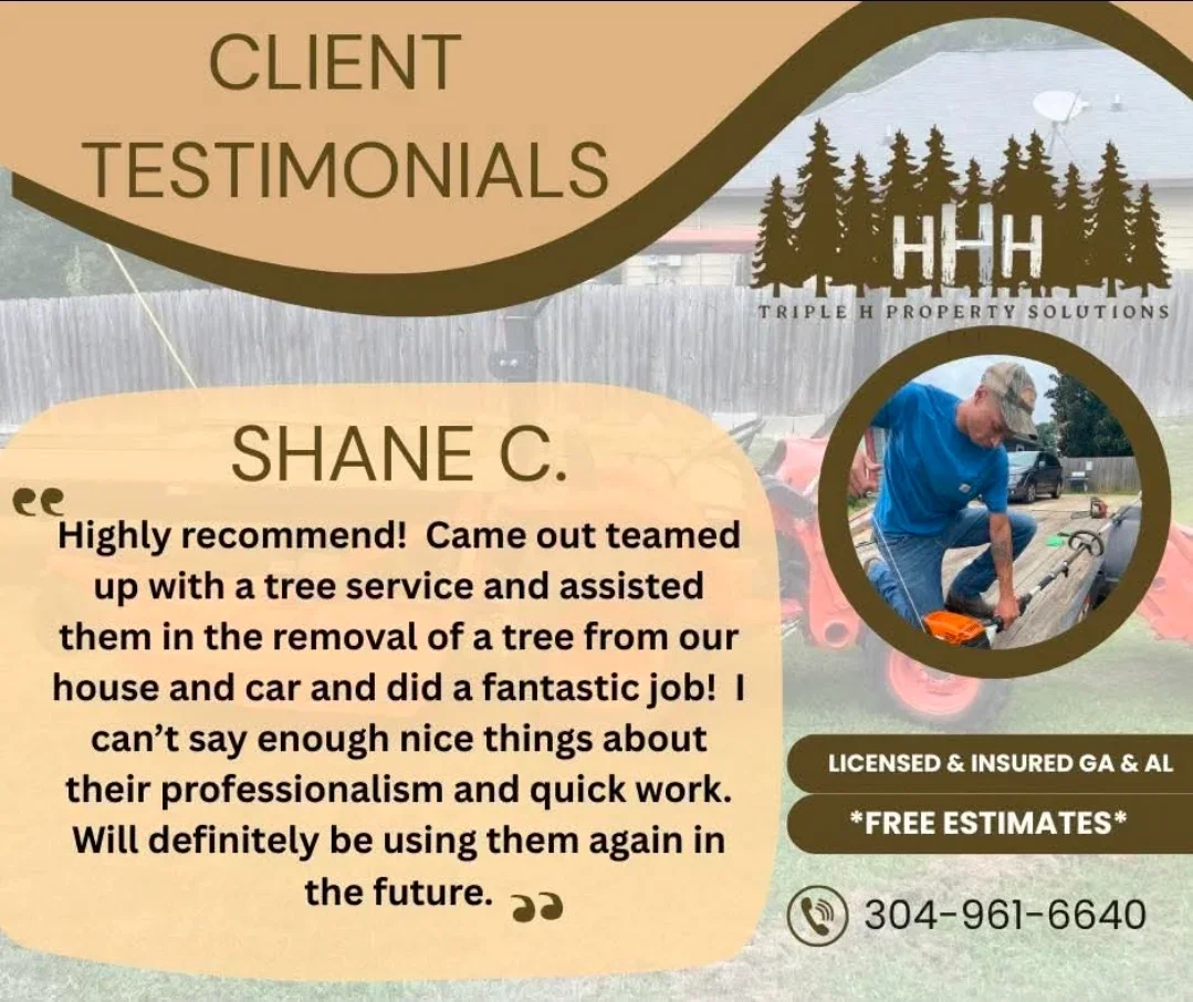 Worker performing tree removal with equipment and debris management at residential property