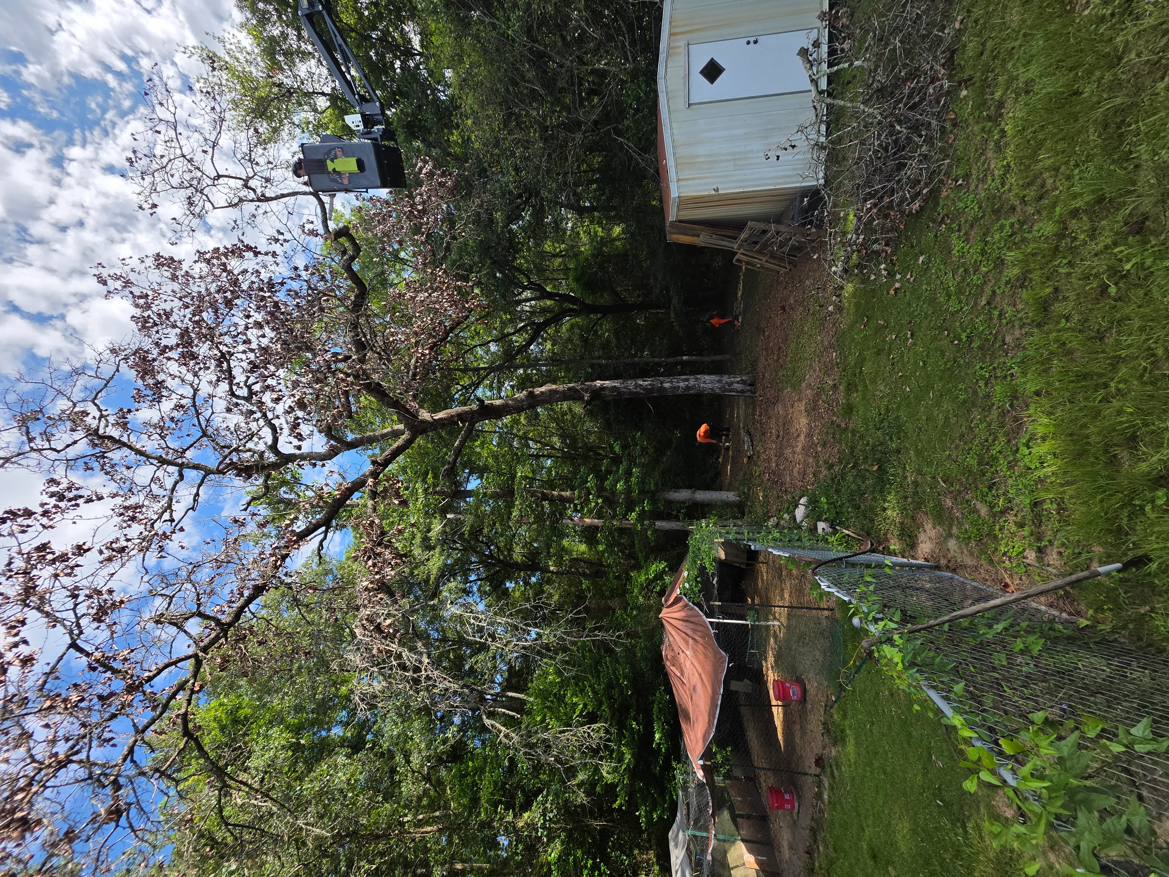 Residential demolition with exposed wooden frame, ivy-covered walls, and debris removal in progress