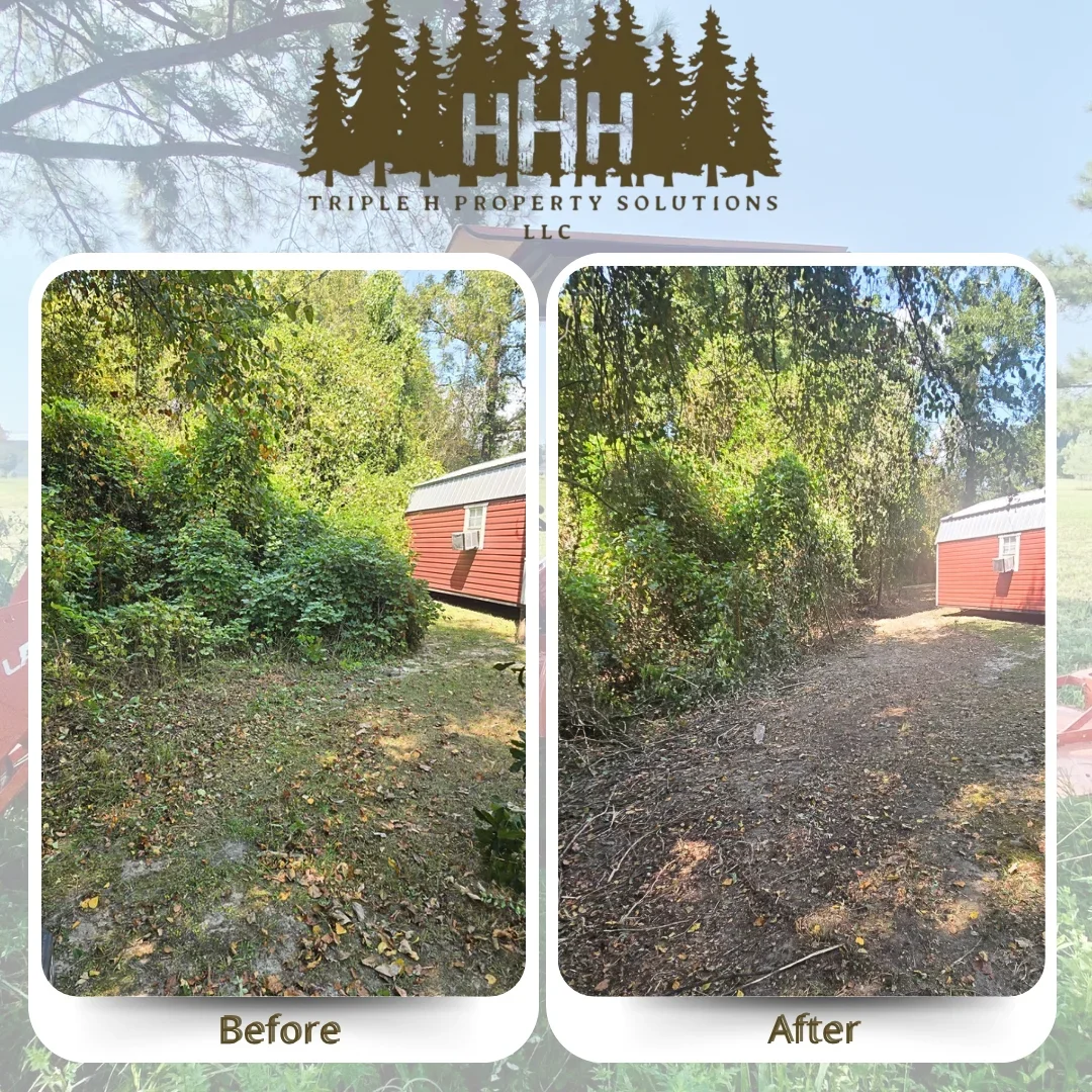 Before and after vegetation clearing showing dense brush removal and ground debris cleanup around residential structure