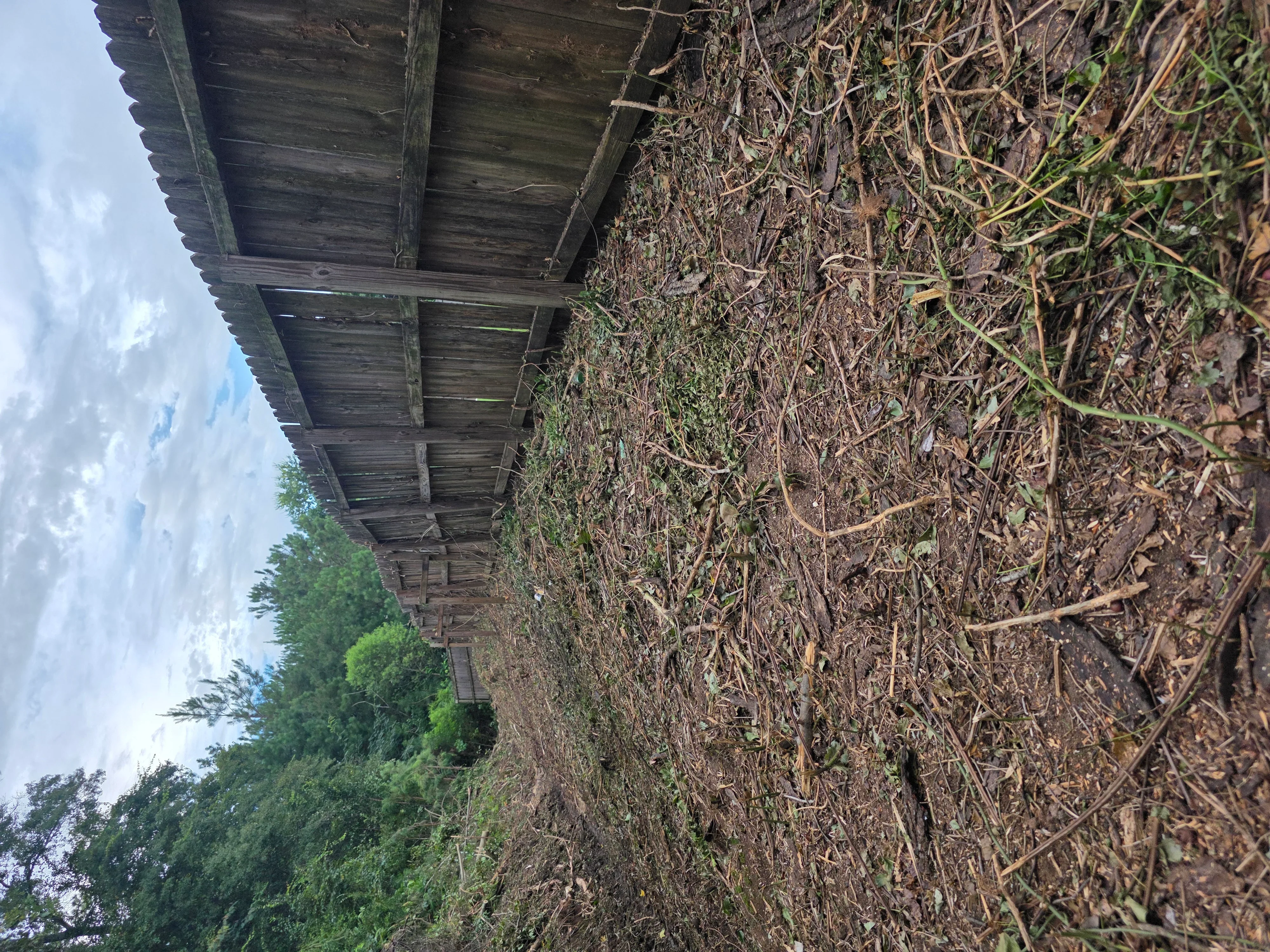 Cleared overgrown lot with removed vegetation, dead brush, and debris; wooden structure visible
