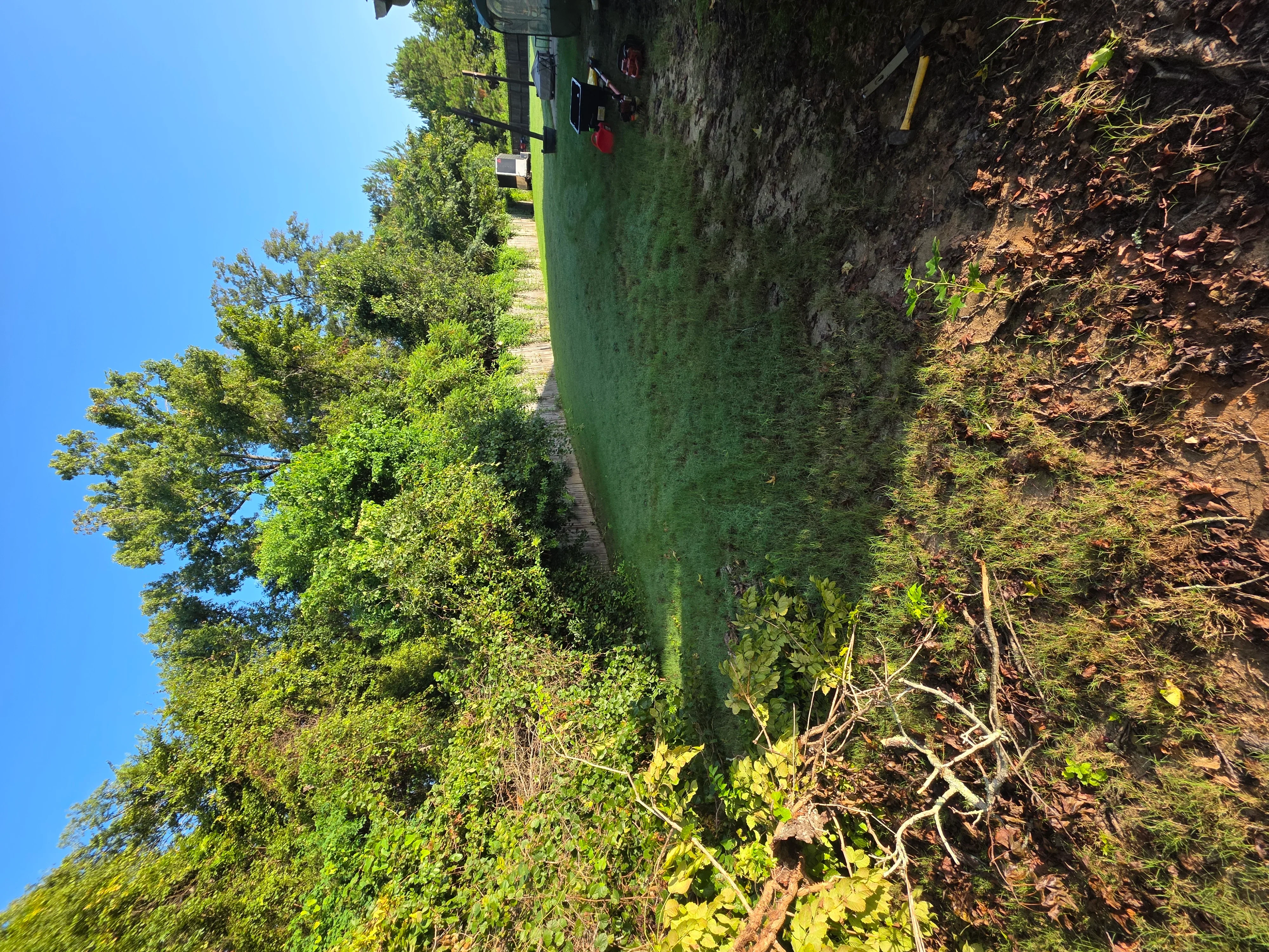 Cleared lot with removed brush, dead wood, and debris; mature trees preserved on property