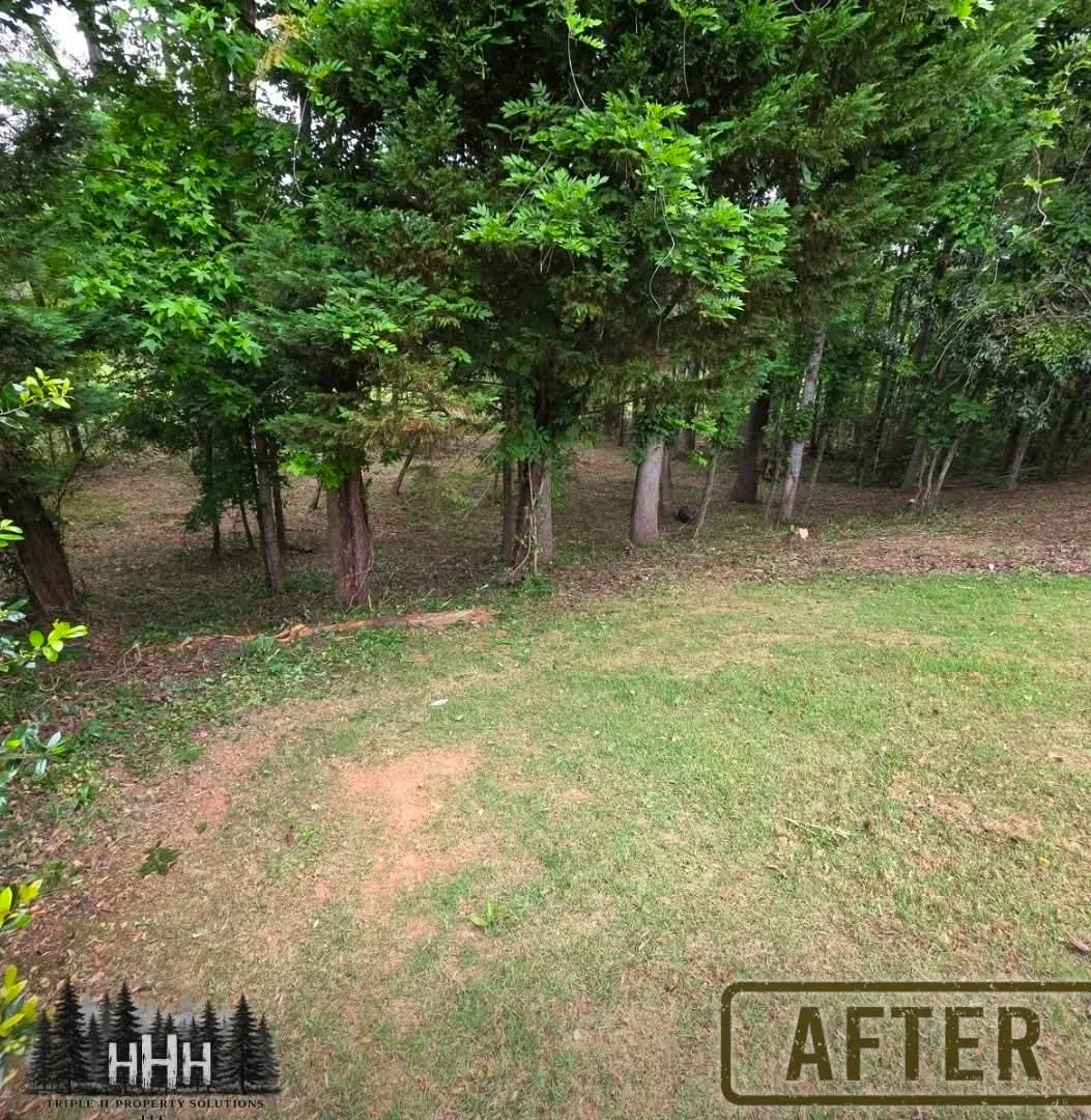 Cleared wooded yard with mature trees, exposed lawn, and removed debris