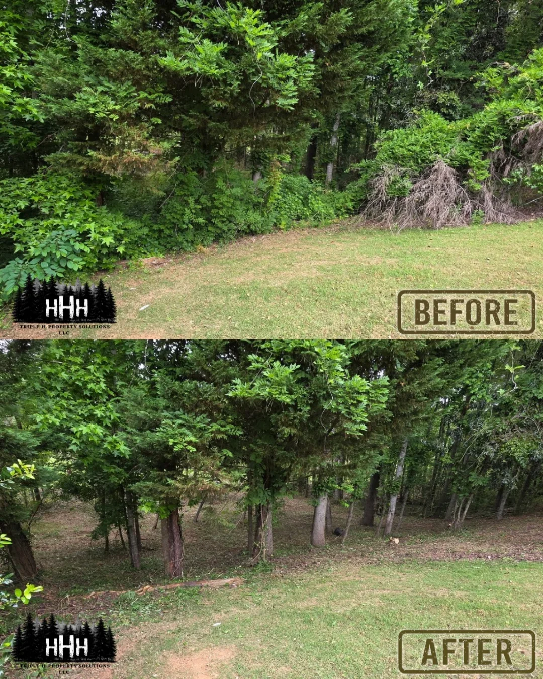 Before and after tree removal and overgrown property clearing with debris removal
