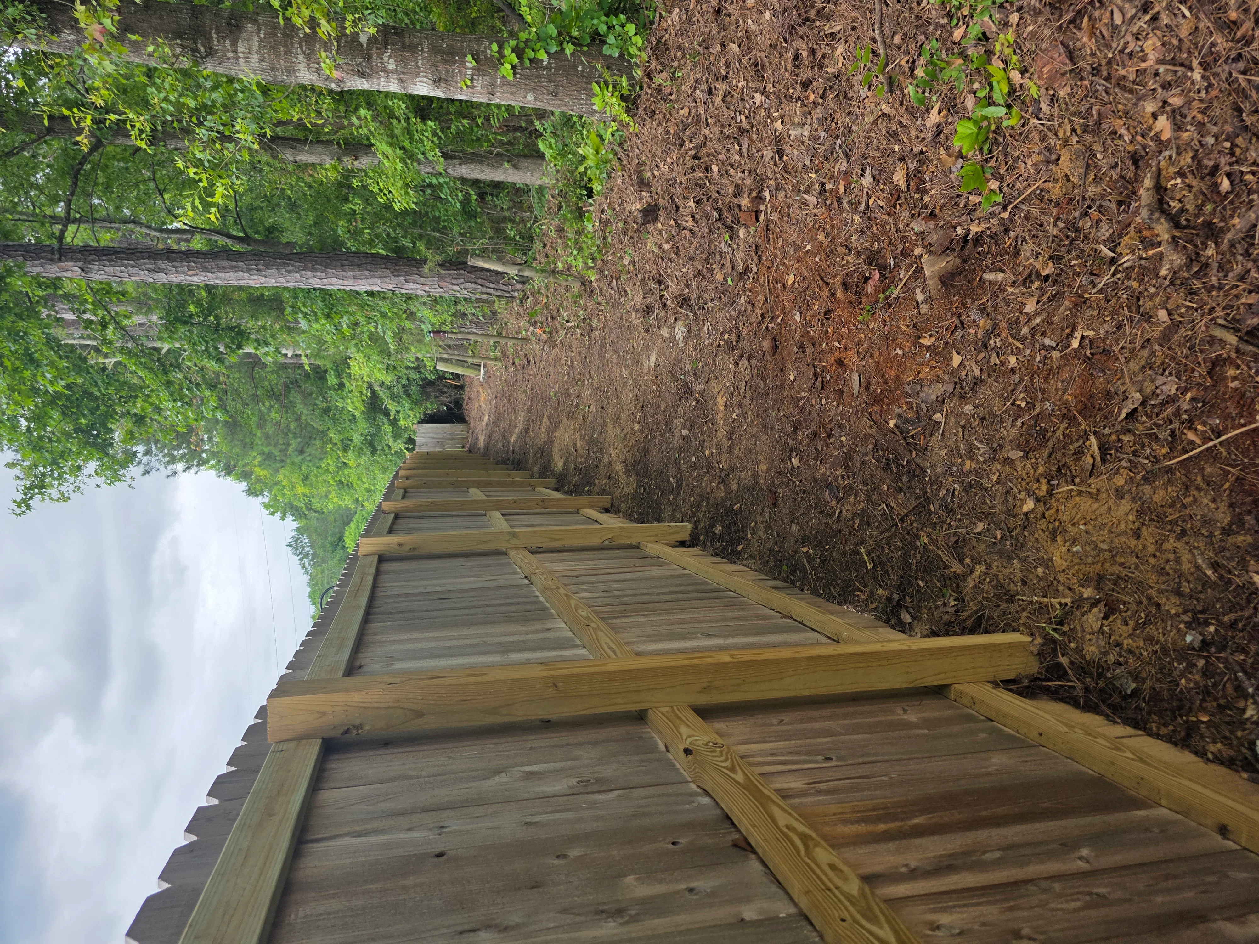 Wooden deck pathway through cleared property with brick wall and removed vegetation debris