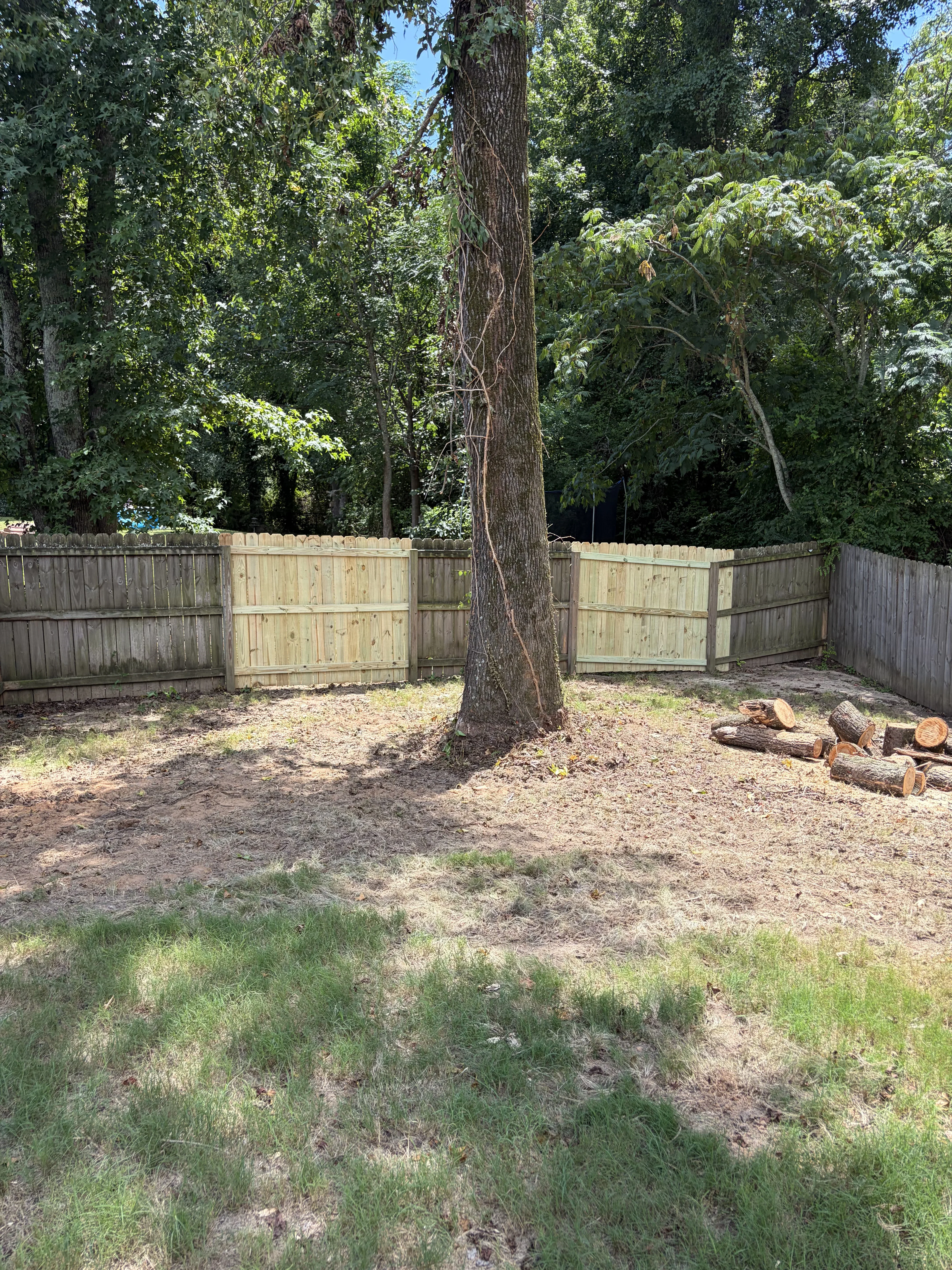New wood privacy fence with gate installed around large tree in cleared residential yard
