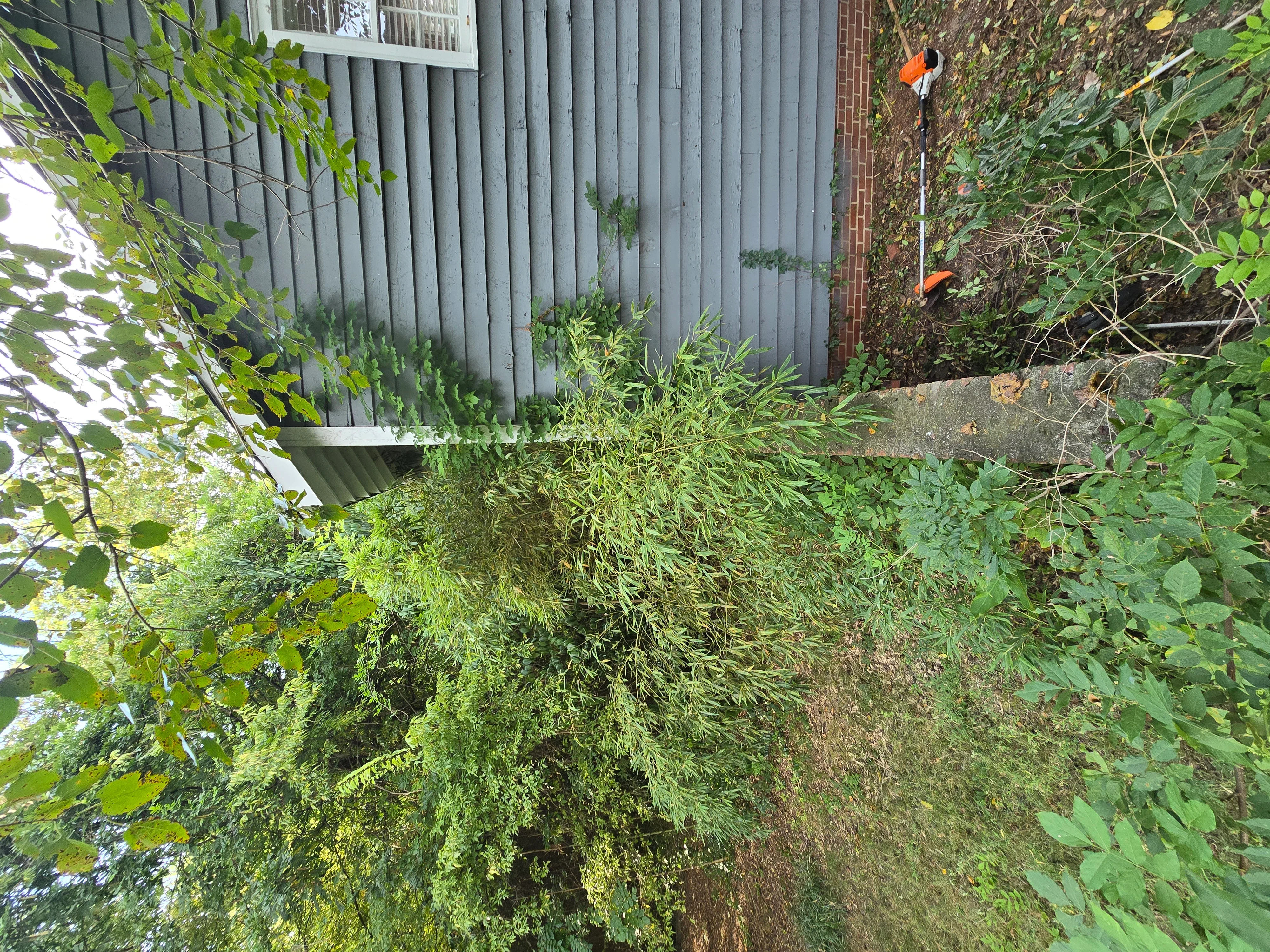 Cleared residential yard with removed vegetation, brick wall, and metal fencing