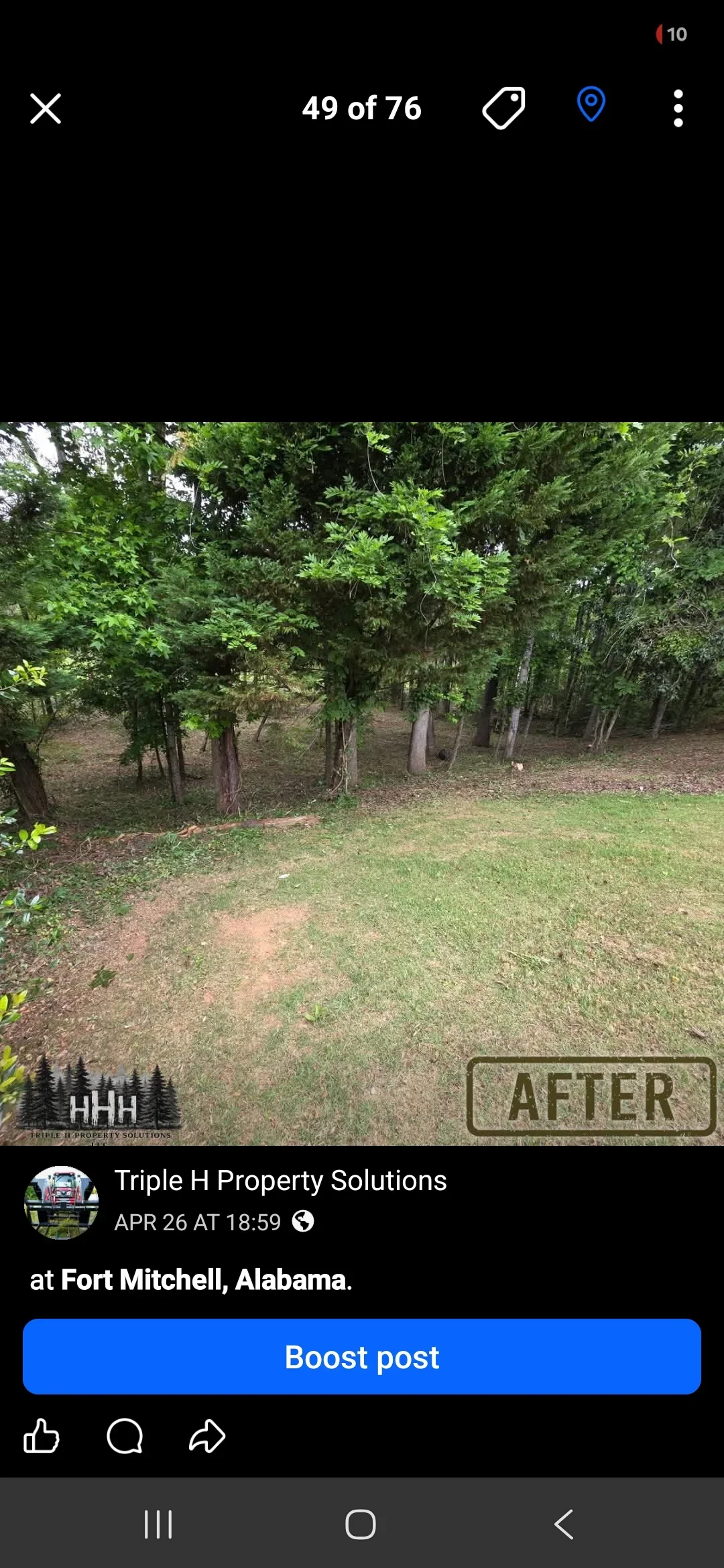Cleared yard with mature trees, fresh grass, and removed debris from overgrown property