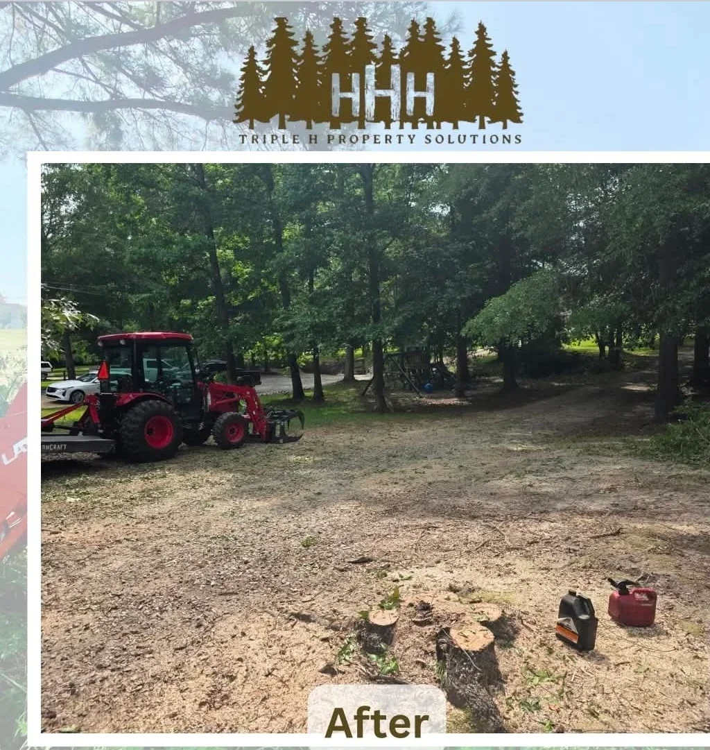 Red stump grinder with cleared tree stumps and gravel site in wooded area