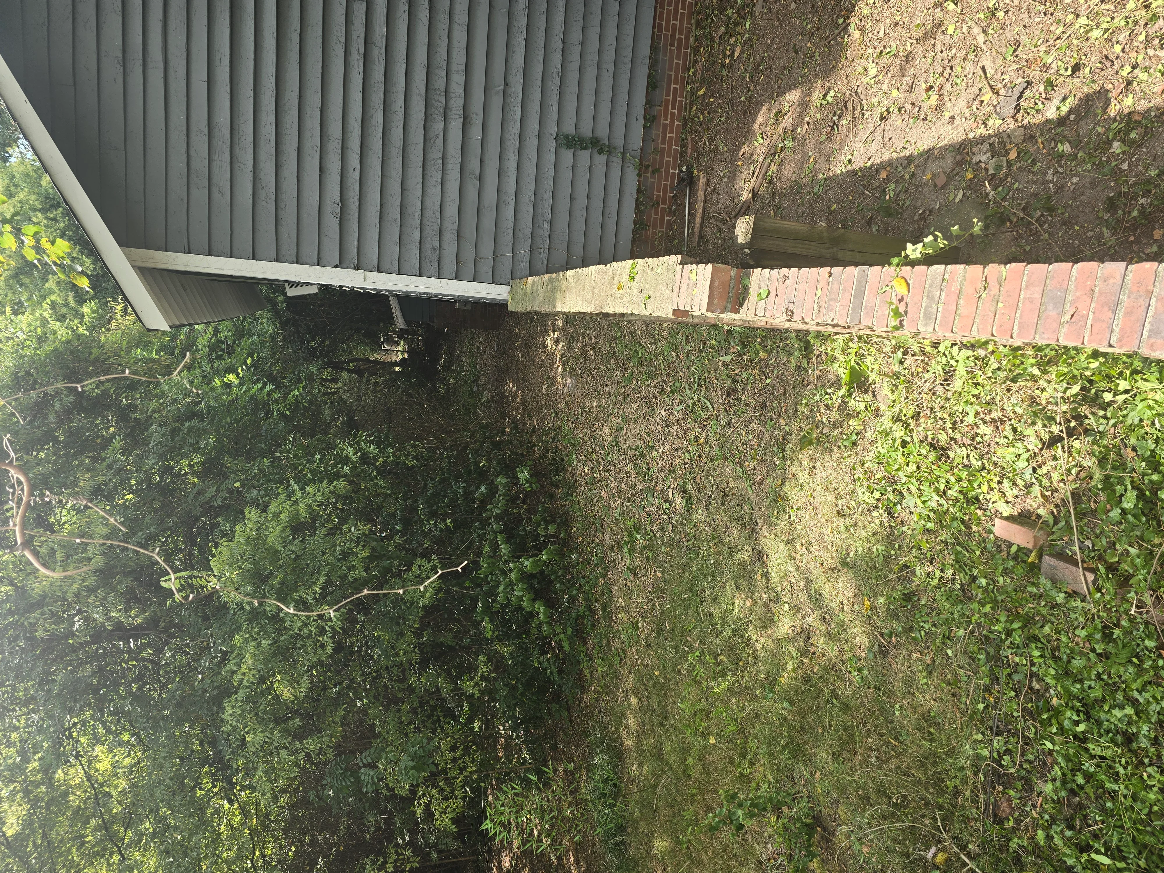 Cleared property with metal shed demolition, brick foundation, and vegetation removal