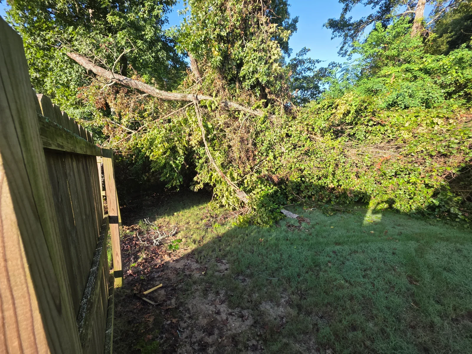 A large fallen pine tree lying across a residential yard in Columbus, GA, with cut sections staged for removal by a property services crew. The surrounding lawn and fence line are visible in the background.
